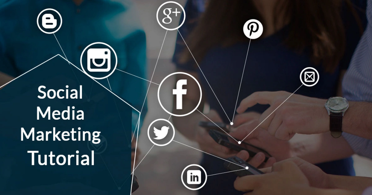 Social Media Marketing Aelftech.com: A Complete Guide to Growing Your Digital Brand